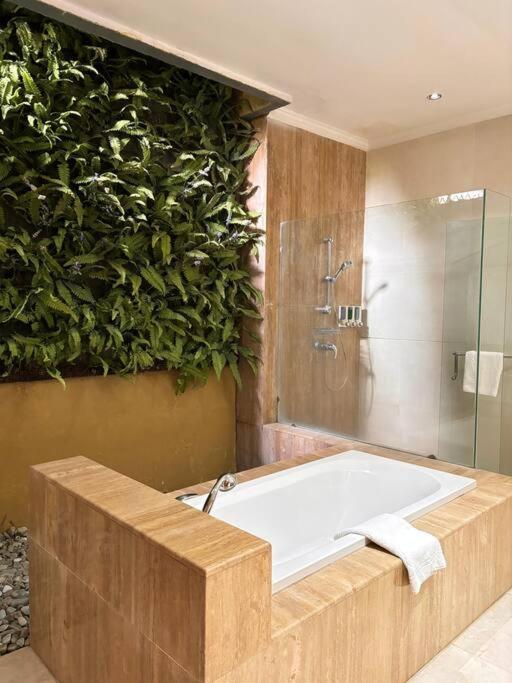 Villa 4 Bedroom Tropical Luxury
