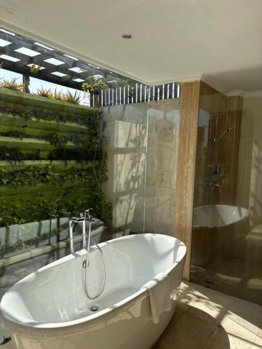 4 Bedroom Tropical Luxury * Seminyak (Bali)